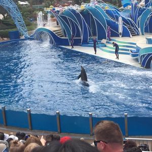 Meet your Posher, Vu